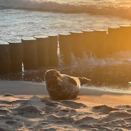 Bed & Breakfast Fala Ustronie Morskie